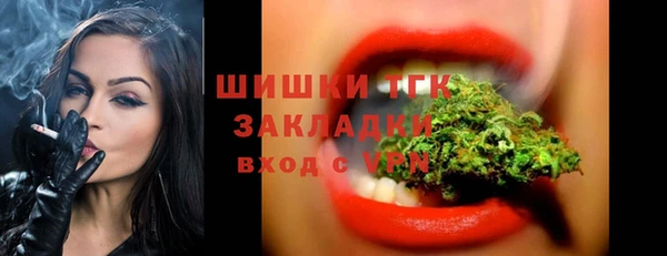 молекула духа Алексеевка