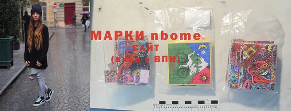 индика Алзамай