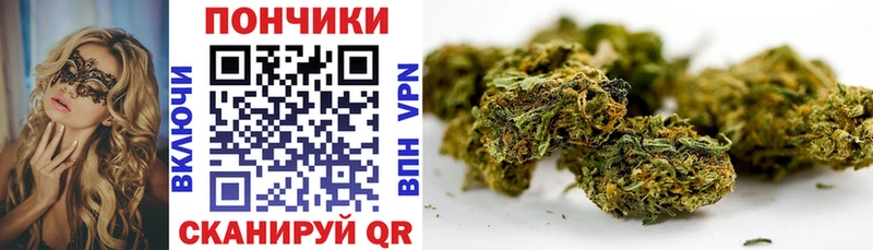 Бошки Шишки планчик Новомичуринск